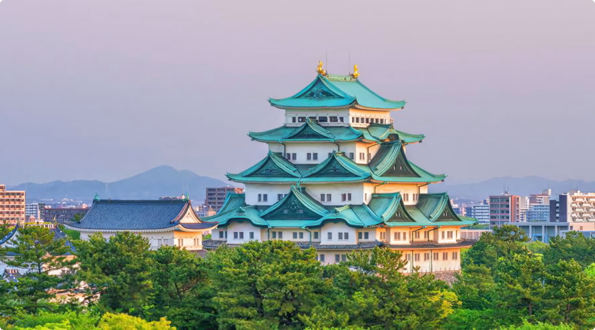 Quali sono le scelte di veicoli più popolari a Aeroporto di Nagoya?